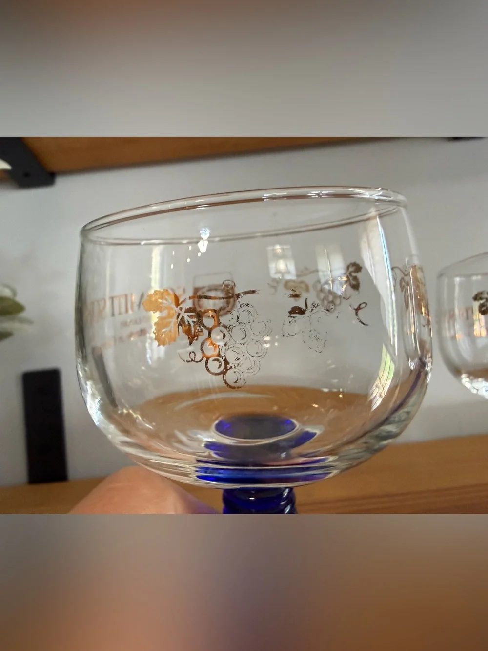 Cobalt Blue Stemmed Goblet - Set of 2